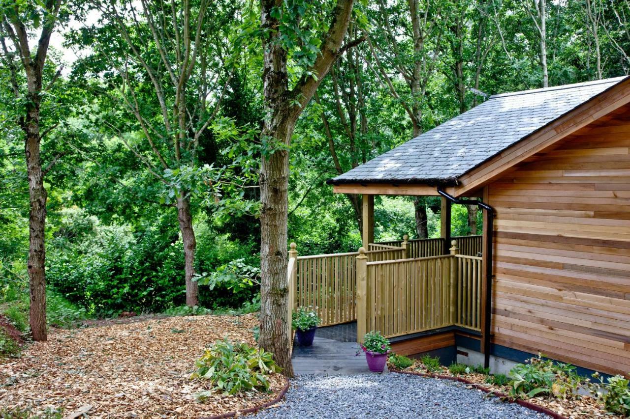 Cedar Lodge, South View Lodges, 埃克塞特 外观 照片