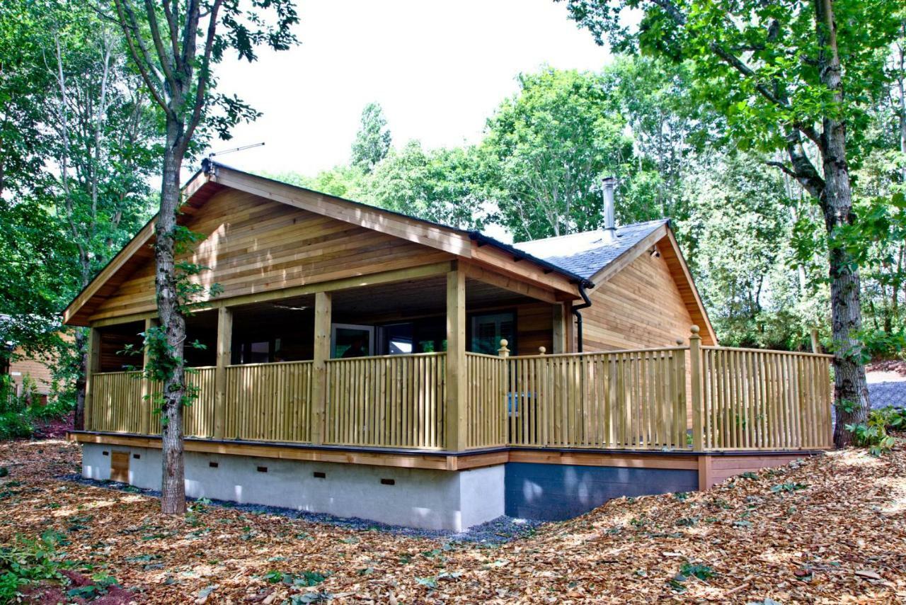 Cedar Lodge, South View Lodges, 埃克塞特 外观 照片